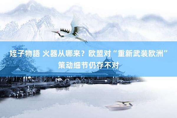 姪子物語 火器从哪来？欧盟对“重新武装欧洲”策动细节仍存不对
