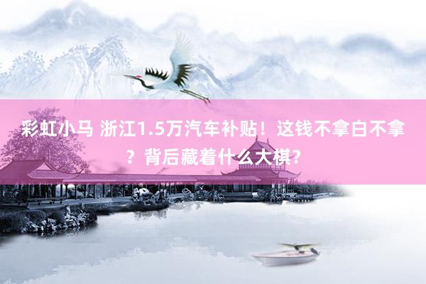彩虹小马 浙江1.5万汽车补贴！这钱不拿白不拿？背后藏着什么大棋？