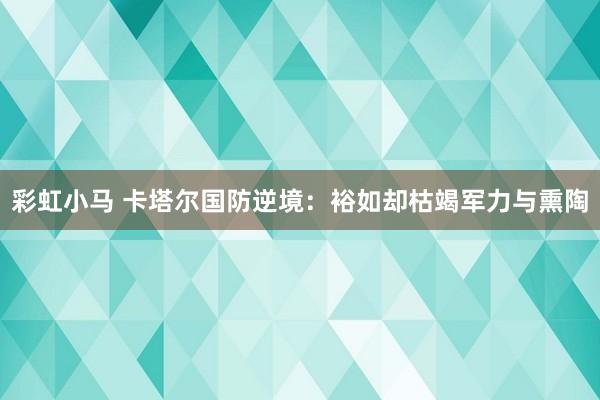 彩虹小马 卡塔尔国防逆境：裕如却枯竭军力与熏陶