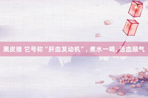 黑皮猪 它号称“肝血发动机”， 煮水一喝， 活血顺气