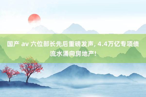 国产 av 六位部长先后重磅发声， 4.4万亿专项债流水涌向房地产!