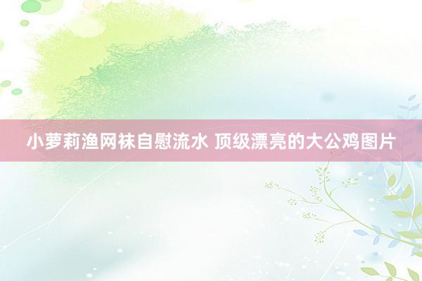 小萝莉渔网袜自慰流水 顶级漂亮的大公鸡图片