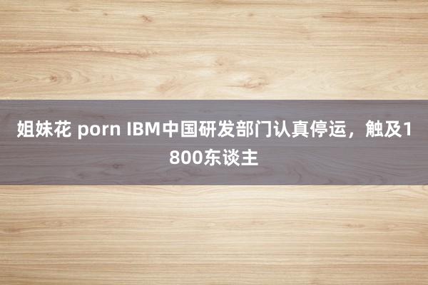 姐妹花 porn IBM中国研发部门认真停运，触及1800东谈主