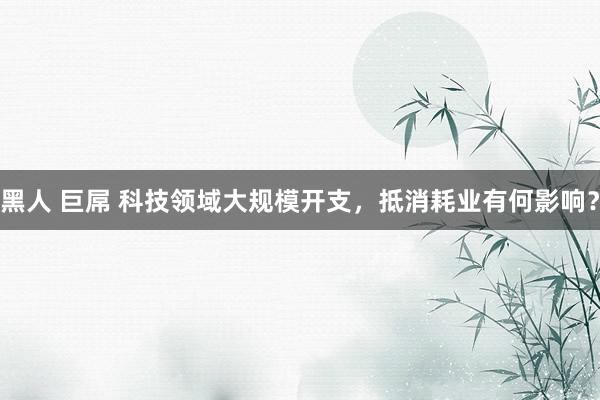 黑人 巨屌 科技领域大规模开支，抵消耗业有何影响？