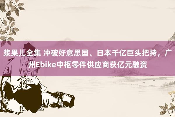 浆果儿全集 冲破好意思国、日本千亿巨头把持，广州Ebike中枢零件供应商获亿元融资